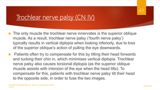 Trochlear nerve palsy (CN IV)
 The only muscle the trochlear nerve innervates is the superior oblique
muscle. As a result, trochlear nerve palsy (‘fourth nerve palsy’)
typically results in vertical diplopia when looking inferiorly, due to loss
of the superior oblique’s action of pulling the eye downwards.
 Patients often try to compensate for this by tilting their head forwards
and tucking their chin in, which minimises vertical diplopia. Trochlear
nerve palsy also causes torsional diplopia (as the superior oblique
muscle assists with intorsion of the eye when the head tilts). To
compensate for this, patients with trochlear nerve palsy tilt their head
to the opposite side, in order to fuse the two images.
9/29/2020
optometristsania@gmail.com , find us on youtube as Optom
Corner
43
 