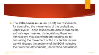  The extraocular muscles (EOM) are responsible
for controlling the movements of the eyeball and
upper eyelid. These muscles are also known as the
extrinsic eye muscles, distinguishing them from
intrinsic eye muscles which are responsible for
controlling the movement of the iris. In this lecture
we will discuss the anatomy of the EOM including
their relevant attachments, innervation and actions.
9/29/2020
optometristsania@gmail.com , find us on youtube as Optom
Corner
5
 