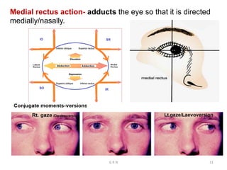 Medial rectus action- adducts the eye so that it is directed
medially/nasally.
G R N 31
 