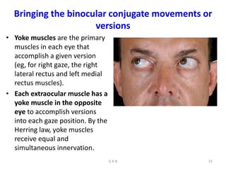 Bringing the binocular conjugate movements or
versions
• Yoke muscles are the primary
muscles in each eye that
accomplish a given version
(eg, for right gaze, the right
lateral rectus and left medial
rectus muscles).
• Each extraocular muscle has a
yoke muscle in the opposite
eye to accomplish versions
into each gaze position. By the
Herring law, yoke muscles
receive equal and
simultaneous innervation.
G R N 55
 