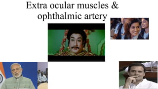 Extra ocular muscles &
ophthalmic artery
 