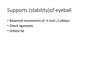 Supports (stability)of eyeball
• Balanced movements of 4 recti ,2 obliqui
• Check ligaments
• Orbital fat