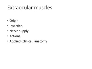 Extraocular muscles
• Origin
• Insertion
• Nerve supply
• Actions
• Applied (clinical) anatomy