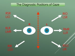 Extraocular muscles.pptx