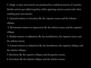 Intortion Comprehensive Overview of Extraocular Muscles: Anatomy, Nerve Supply ...