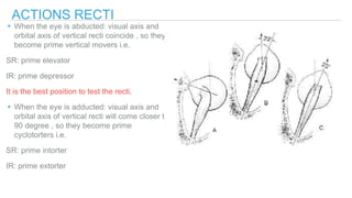 EXTRAOCULAR MUSCLES-APPLIED.pptx