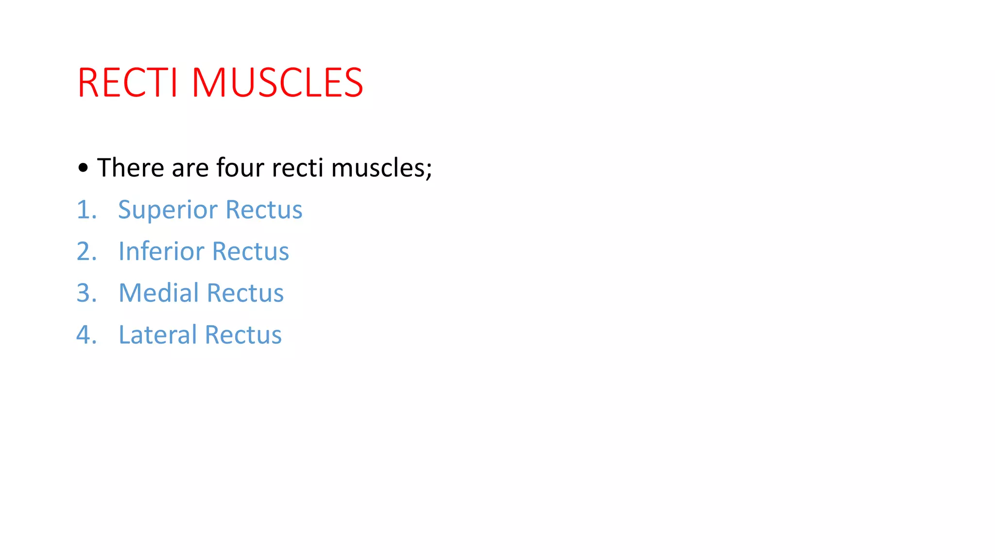 Extraocular muscles anatomy | PDF