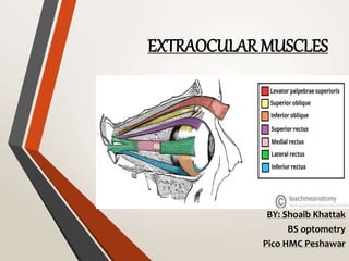EXTRAOCULAR MUSCLES
BY: Shoaib Khattak
BS optometry
Pico HMC Peshawar
 