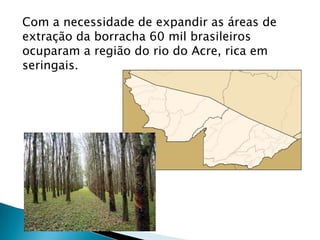 Com a necessidade de expandir as áreas de
extração da borracha 60 mil brasileiros
ocuparam a região do rio do Acre, rica em
seringais.
 