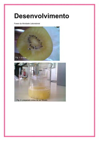 Desenvolvimento 
Fases da Atividade Laboratorial 
Fig. 1- a fruta 
Fig. 2- preparado antes de ser filtrado  