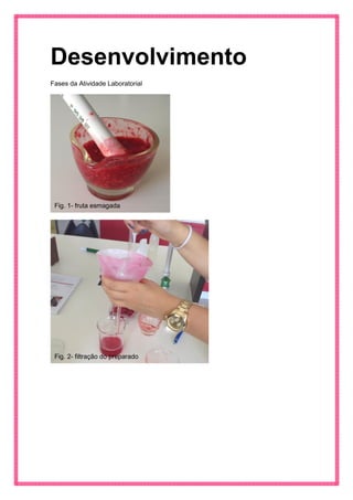 Desenvolvimento 
Fases da Atividade Laboratorial 
Fig. 1- fruta esmagada 
Fig. 2- filtração do preparado  