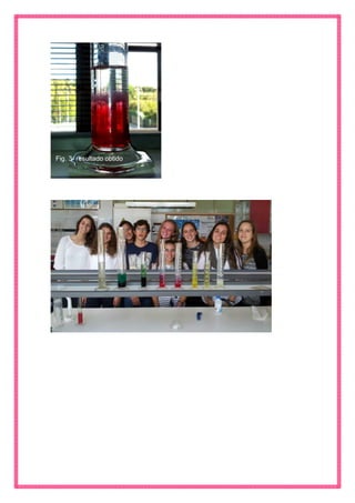 Fig. 3- resultado obtido  