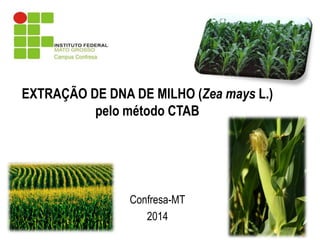 EXTRAÇÃO DE DNA DE MILHO (ZeamaysL.) pelo método CTAB 
Confresa-MT 
2014  