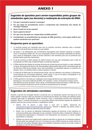 ETAPAS PREPARATÓRIAS:
ANEXO 1
Sugestões de atividades correlatas
Durante o período de incubação discutir o protocolo com os estudantes usando uma ﬁgura de uma
célula vegetal e solicitar a eles que apontem as membranas da célula e do núcleo que estariam sendo
rompidas pela ação do detergente. Neste momento, rever a composição química das membranas
celulares. Rever o conceito de proteína e no que estas diferem das enzimas capazes de acelerar as
reações químicas que ocorrem durante o metabolismo celular.
Aplicar, com os alunos o jogo “Cara a cara com a célula”, disponível em•
www.genoma.ib.usp.br/educacao/materiais_didaticos.php. Chamar a atenção dos alunos sobre a
localização do DNA nos diferentes tipos de célula.
Rever, com os alunos os diferentes tratamentos capazes de promover a lise mecânica ou•
química da célula para a liberação do seu conteúdo. Comentar sobre o tratamento utilizado no
procedimento apresentado e compará-lo com tratamentos com enzimas ou mesmo autólise
espontânea ou induzida.
Solicitar aos alunos que tragam para a sala de aula fotos ou ﬁguras de um ambiente qualquer.•
Na foto pedir que marquem com um X os locais em que o DNA encontra-se contido dentro do
núcleo de uma célula. Resgatar alguns dos trabalhos realizados e discutir com toda a classe a
correção ou não dos itens assinalados.
Sugestão de questões para serem respondidas pelos grupos de
estudantes após (ou durante) a realização da extração de DNA.
1. Por que é necessário macerar o morango?
2. Em que etapa do procedimento ocorre o rompimento das membranas das células do
morango? Explique.
3. Qual a função do sal de cozinha?
4. Qual o papel do álcool?
5. Por que você não pode ver a dupla hélice do DNA extraído?
6. Considerando os procedimentos da extração do DNA genômico, você espera obtê-lo sem
quebras mecânicas e/ou químicas?
Respostas para as questões:
1. O morango precisa ser macerado para que os produtos químicos utilizados para a extração
cheguem mais facilmente em todas as suas células.
2. Na etapa 4. Os detergentes são normalmente empregados para dissolver gorduras ou lipídios.
Como a membrana celular tem em sua composição química uma grande quantidade de lipídios,
sob a ação do detergente, estes se tornam solúveis e são extraídos junto com as proteínas que
também fazem parte das membranas.
3. O sal de cozinha ou NaCl (cloreto de sódio) fornece íons que são necessários para a fase de
precipitação do DNA (veja complementação na resposta seguinte).
4. O DNA extraído das células do morango encontra-se na fase aquosa da mistura, ou seja, dissolvido
na água. Na presença de álcool e de concentrações relativamente altas de Na+ (fornecidas pelo sal
de cozinha) o DNA sai de solução, isto é, ele é precipitado. O precipitado aparece na superfície da
solução, isto é, na interface entre a mistura aquosa e o etanol.
5. A molécula de DNA pode ser extremamente longa, mas seu diâmetro é de apenas 2 nanômetros,
visível apenas em microscopia eletrônica. Assim sendo, o que se vê após a precipitação é um
emaranhado formado por milhares de moléculas de DNA.
6. O DNA genômico é formado por moléculas muito longas (lembre-se que cada cromossomo é
formado por uma única molécula de DNA). Por exemplo, o maior cromossomo humano possui
263 milhões de pares de bases. Assim sendo, é praticamente impossível extrair o DNA sem que
inúmeras quebras mecânicas ocorram durante os procedimentos de extração.
3
 