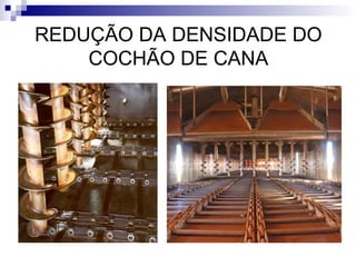 REDUÇÃO DA DENSIDADE DO
COCHÃO DE CANA
 
