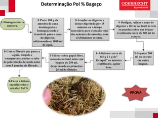 Determinação Pol % Bagaço
PROVA
 