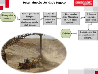 Determinação Umidade Bagaço
 