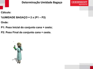 Determinação Umidade Bagaço
Cálculo:
%UMIDADE BAGAÇO = 2 x (P1 – P2)
Onde:
P1: Peso Inicial do conjunto cana + cesto;
P2: Peso Final do conjunto cana + cesto.
 