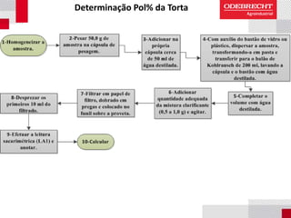 Determinação Pol% da Torta
 