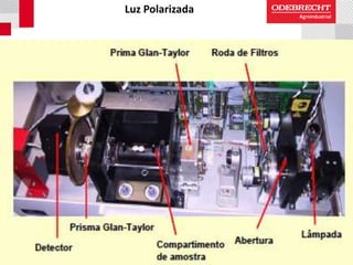 Luz Polarizada
 