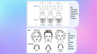 Cephalic Index 91 Example Extraoral examination(PHD) by Jeban Jyoti Sahu | PPTX