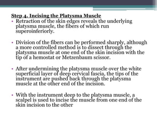 Step 4. Incising the Platysma Muscle
• Retraction of the skin edges reveals the underlying
  platysma muscle, the fibers o...