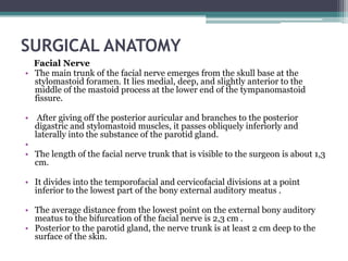 SURGICAL ANATOMY
  Facial Nerve
• The main trunk of the facial nerve emerges from the skull base at the
  stylomastoid for...