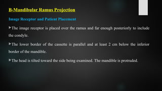 B-Mandibular Ramus Projection
Image Receptor and Patient Placement
The image receptor is placed over the ramus and far enough posteriorly to include
the condyle.
The lower border of the cassette is parallel and at least 2 cm below the inferior
border of the mandible.
The head is tilted toward the side being examined. The mandible is protruded.
 