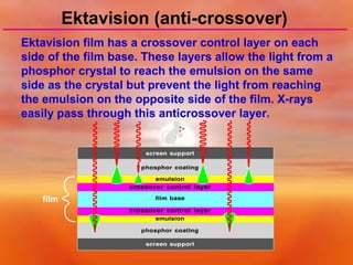 Ektavision (anti-crossover)
Ektavision film has a crossover control layer on each
side of the film base. These layers allow the light from a
phosphor crystal to reach the emulsion on the same
side as the crystal but prevent the light from reaching
the emulsion on the opposite side of the film. X-rays
easily pass through this anticrossover layer.

film

 