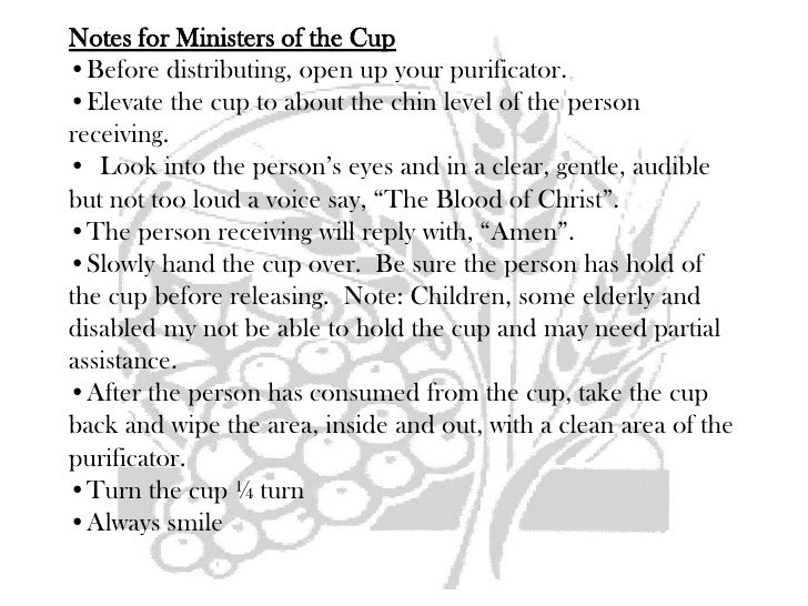 Extraordinary minister of holy communion instruction 2011