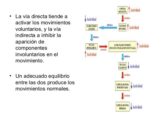 • temblor• La causa del temblor  no se conoce bién,  pero probablemente se  debe a la aparición de  circuitos oscilantes e...