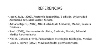 REFERENCIAS
• José C. Ruiz, (2002), Anatomía Topográfica, 5 edición, Universidad
Autónoma de Ciudad Juárez, México.
• Adri...