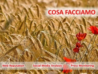Social Media Analysis Press MonitoringWeb Reputation
COSA FACCIAMO
 