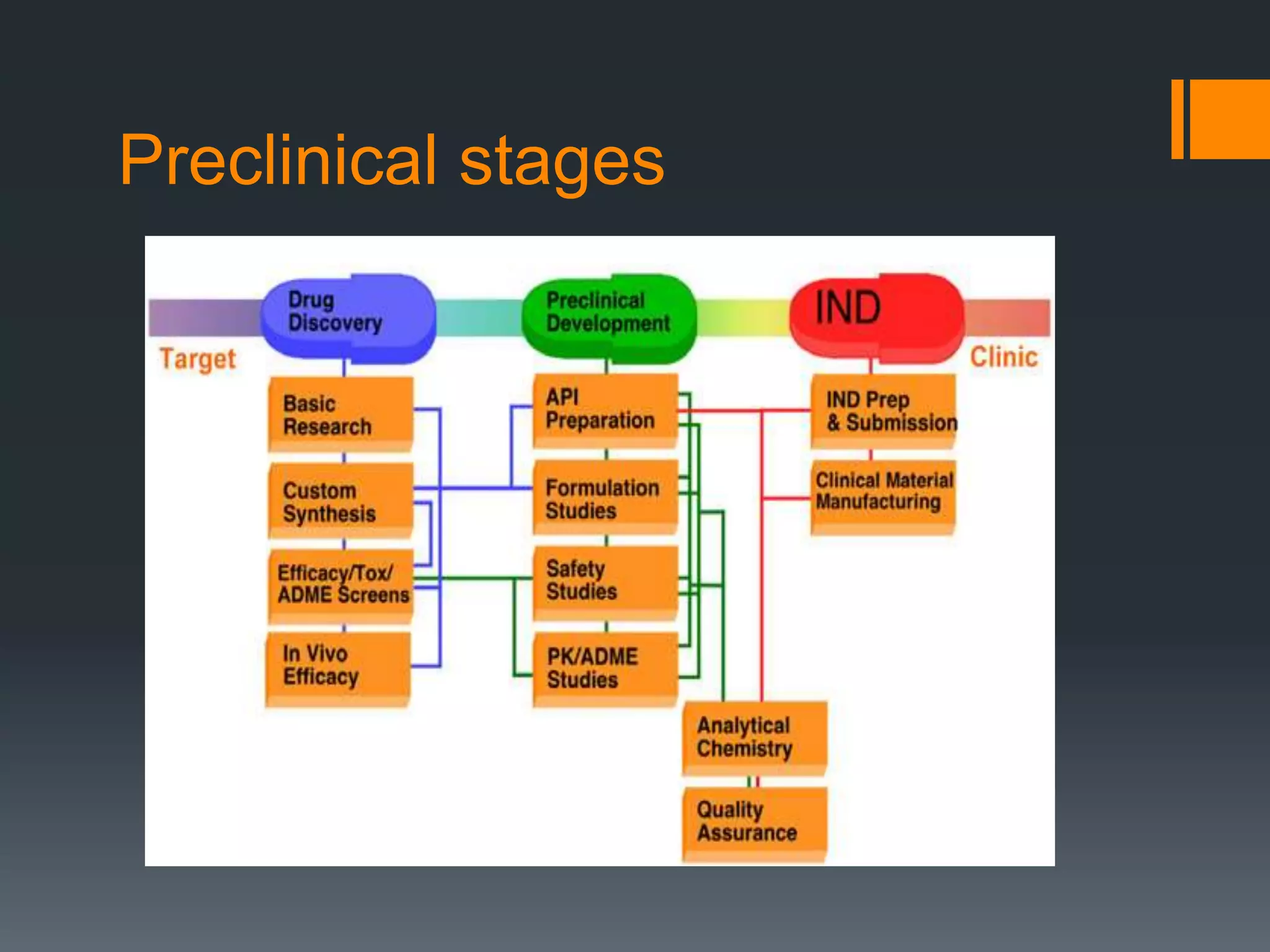 Preclinical stages
 
