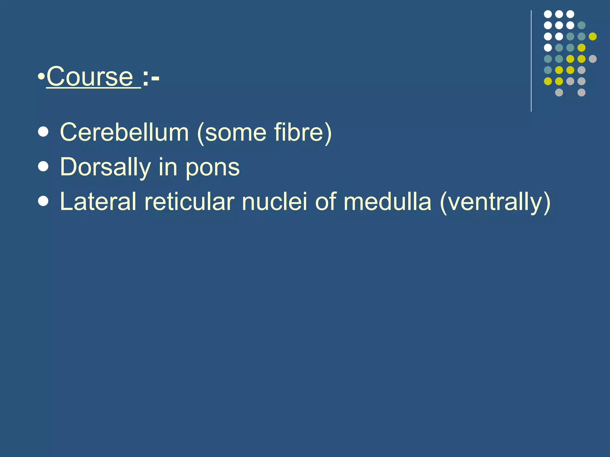 Course   :- Cerebellum (some fibre) Dorsally in pons Lateral reticular nuclei of medulla (ventrally) 