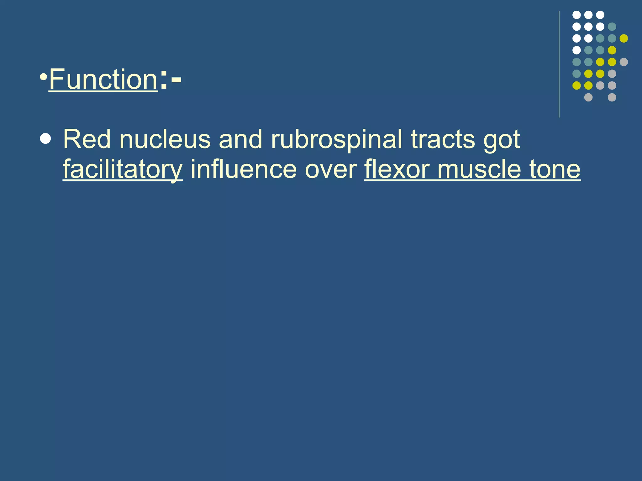 Function :- Red nucleus and rubrospinal tracts got  facilitatory  influence over  flexor muscle tone 