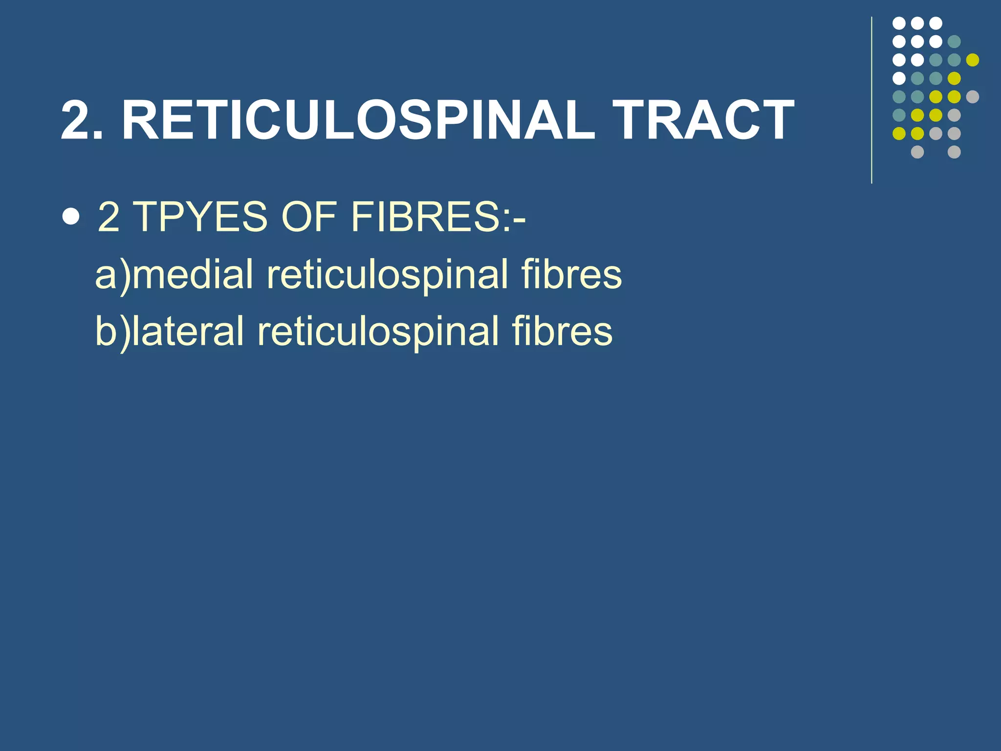 2. RETICULOSPINAL TRACT 2 TPYES OF FIBRES:- a)medial reticulospinal fibres b)lateral reticulospinal fibres 