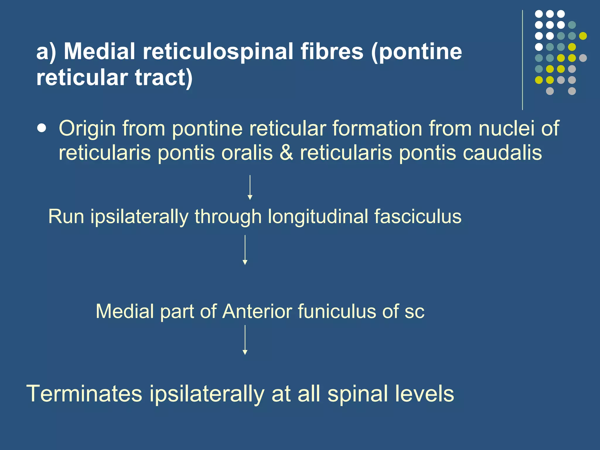 a) Medial reticulospinal fibres (pontine reticular tract) Origin from pontine reticular formation from nuclei of reticularis pontis oralis & reticularis pontis caudalis Run ipsilaterally through longitudinal fasciculus Medial part of Anterior funiculus of sc Terminates ipsilaterally at all spinal levels 