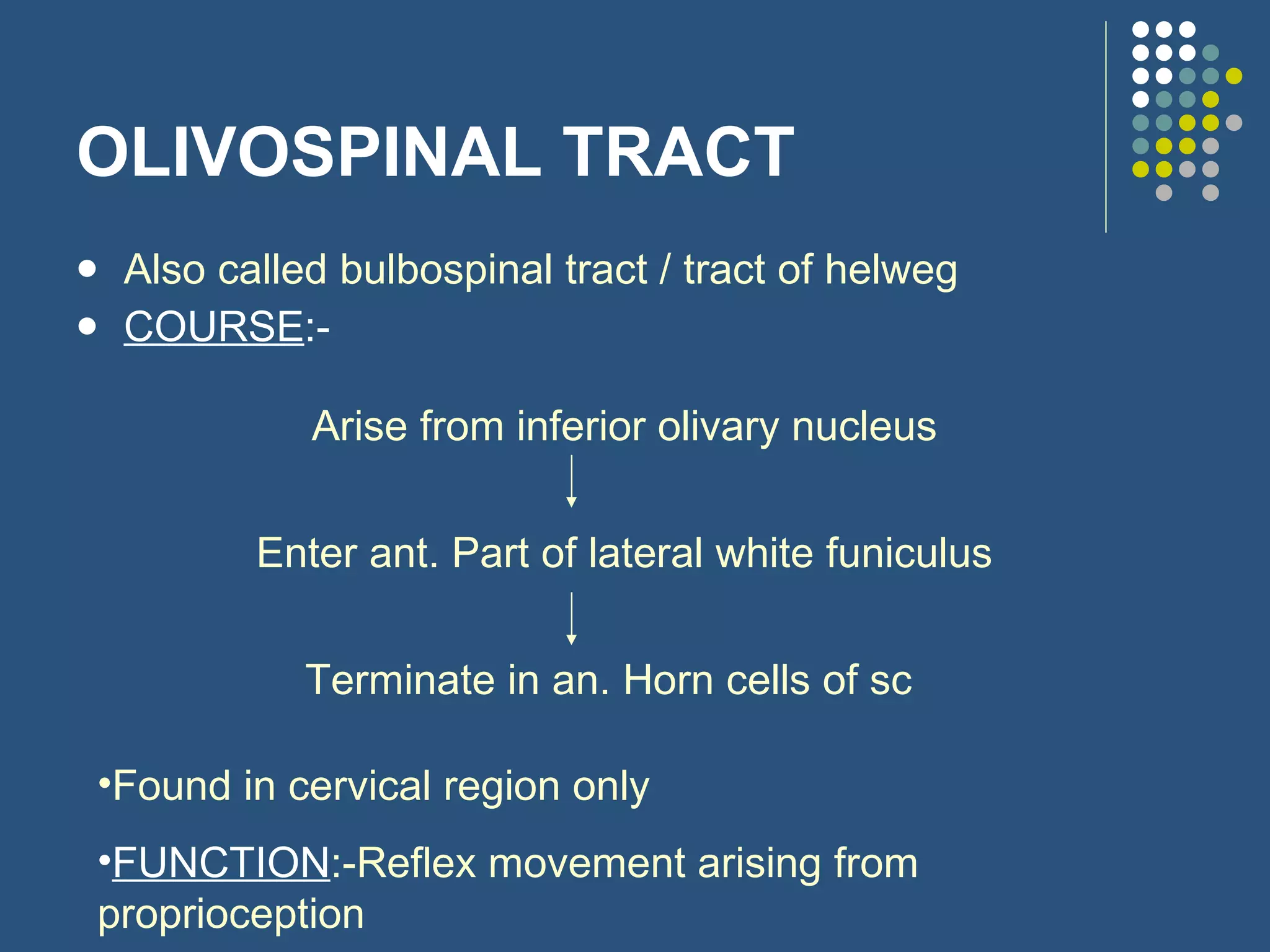 OLIVOSPINAL TRACT Also called bulbospinal tract / tract of helweg COURSE :-  Arise from inferior olivary nucleus Enter ant. Part of lateral white funiculus Terminate in an. Horn cells of sc Found in cervical region only FUNCTION :-Reflex movement arising from proprioception 
