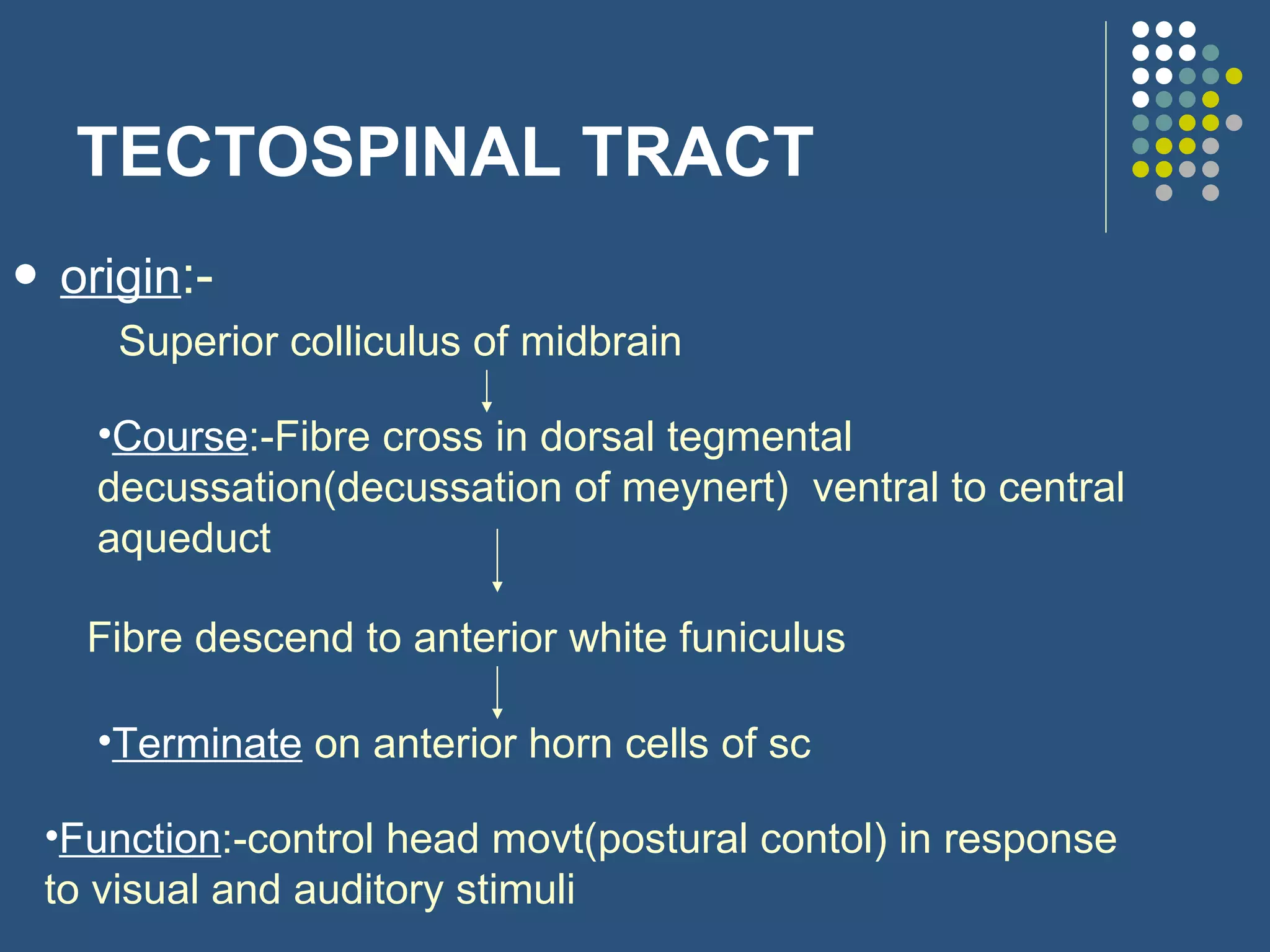 TECTOSPINAL TRACT origin :- Superior colliculus of midbrain Course :-Fibre cross in dorsal tegmental decussation(decussation of meynert)  ventral to central aqueduct Fibre descend to anterior white funiculus Terminate  on anterior horn cells of sc Function :-control head movt(postural contol) in response to visual and auditory stimuli 