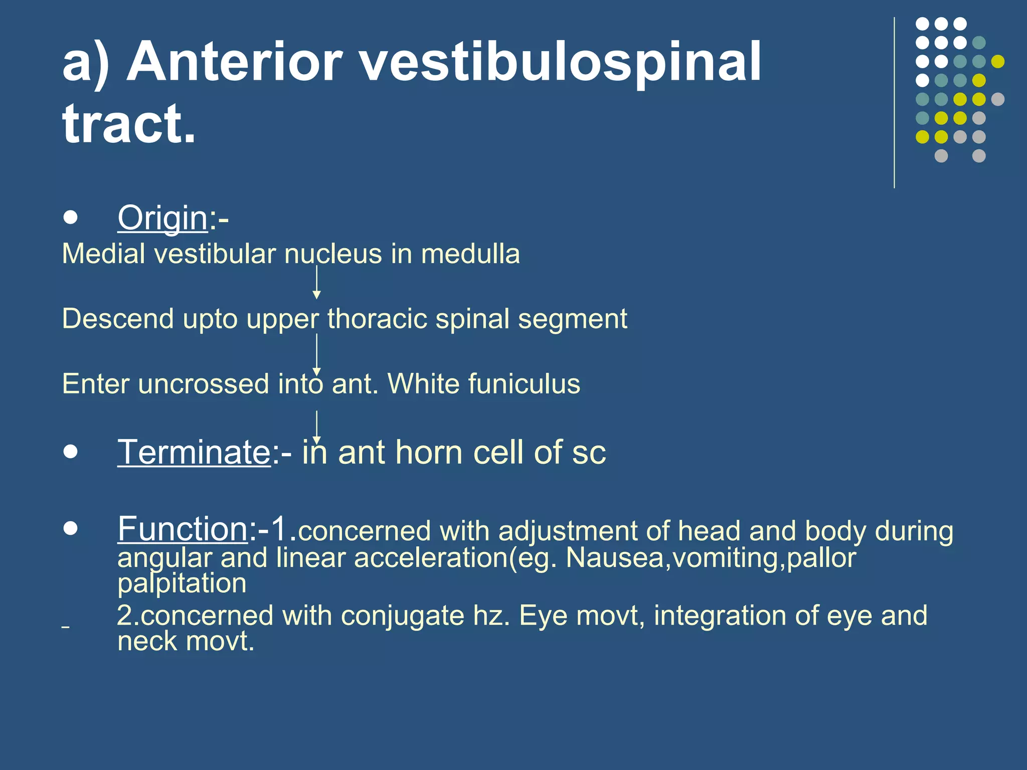 a) Anterior vestibulospinal tract. Origin :- Medial vestibular nucleus in medulla Descend upto upper thoracic spinal segment  Enter uncrossed into ant. White funiculus Terminate :-  in ant horn cell of sc Function :-1. concerned with adjustment of head and body during angular and linear acceleration(eg. Nausea,vomiting,pallor palpitation 2.concerned with conjugate hz. Eye movt, integration of eye and neck movt. 