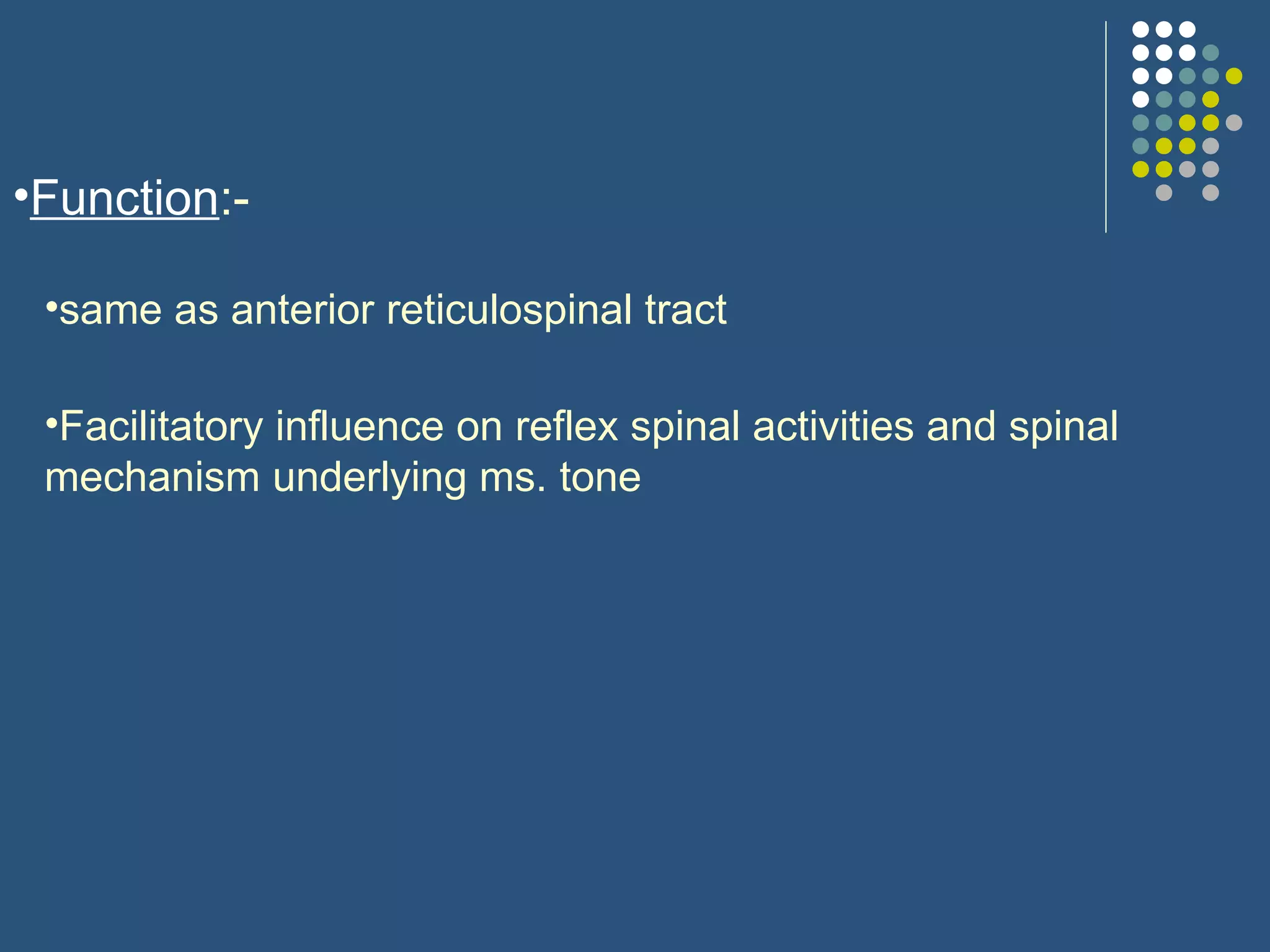 Function :- same as anterior reticulospinal tract Facilitatory influence on reflex spinal activities and spinal mechanism underlying ms. tone 