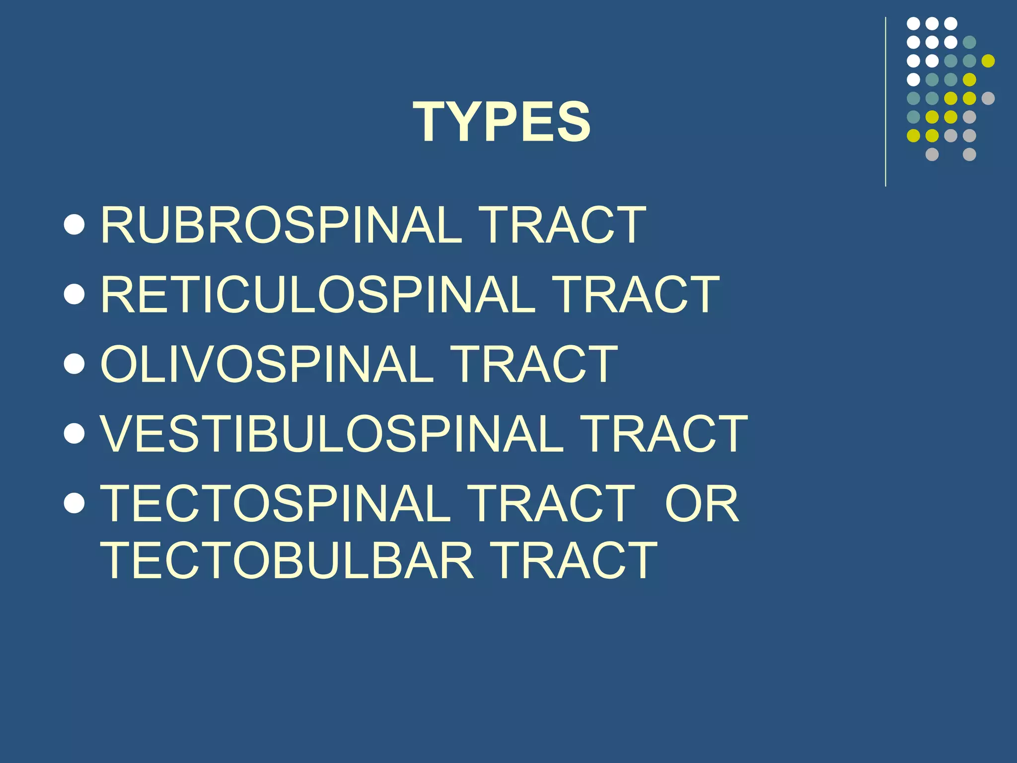 TYPES RUBROSPINAL TRACT RETICULOSPINAL TRACT OLIVOSPINAL TRACT VESTIBULOSPINAL TRACT TECTOSPINAL TRACT  OR TECTOBULBAR TRACT 