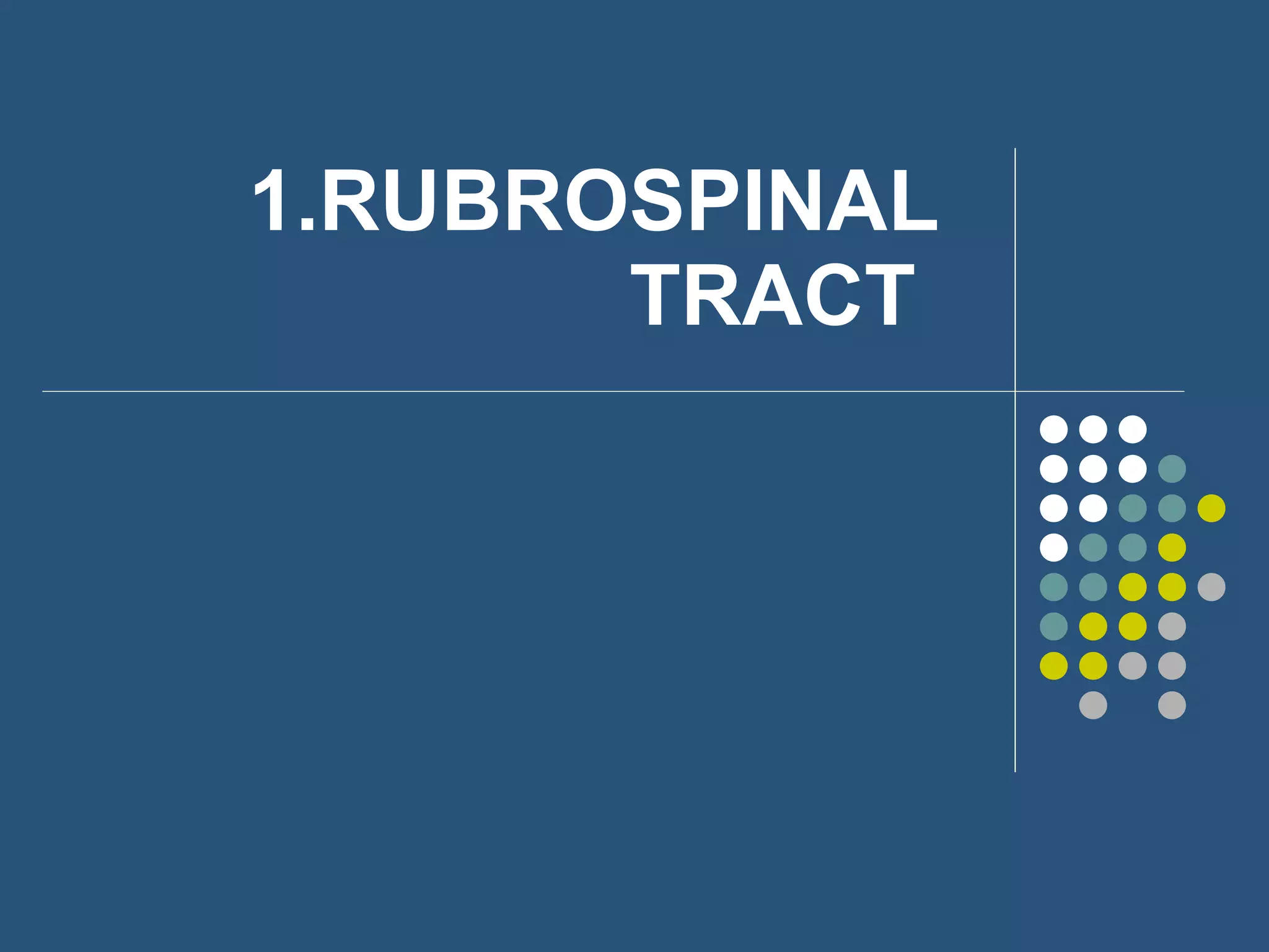 1.RUBROSPINAL TRACT  