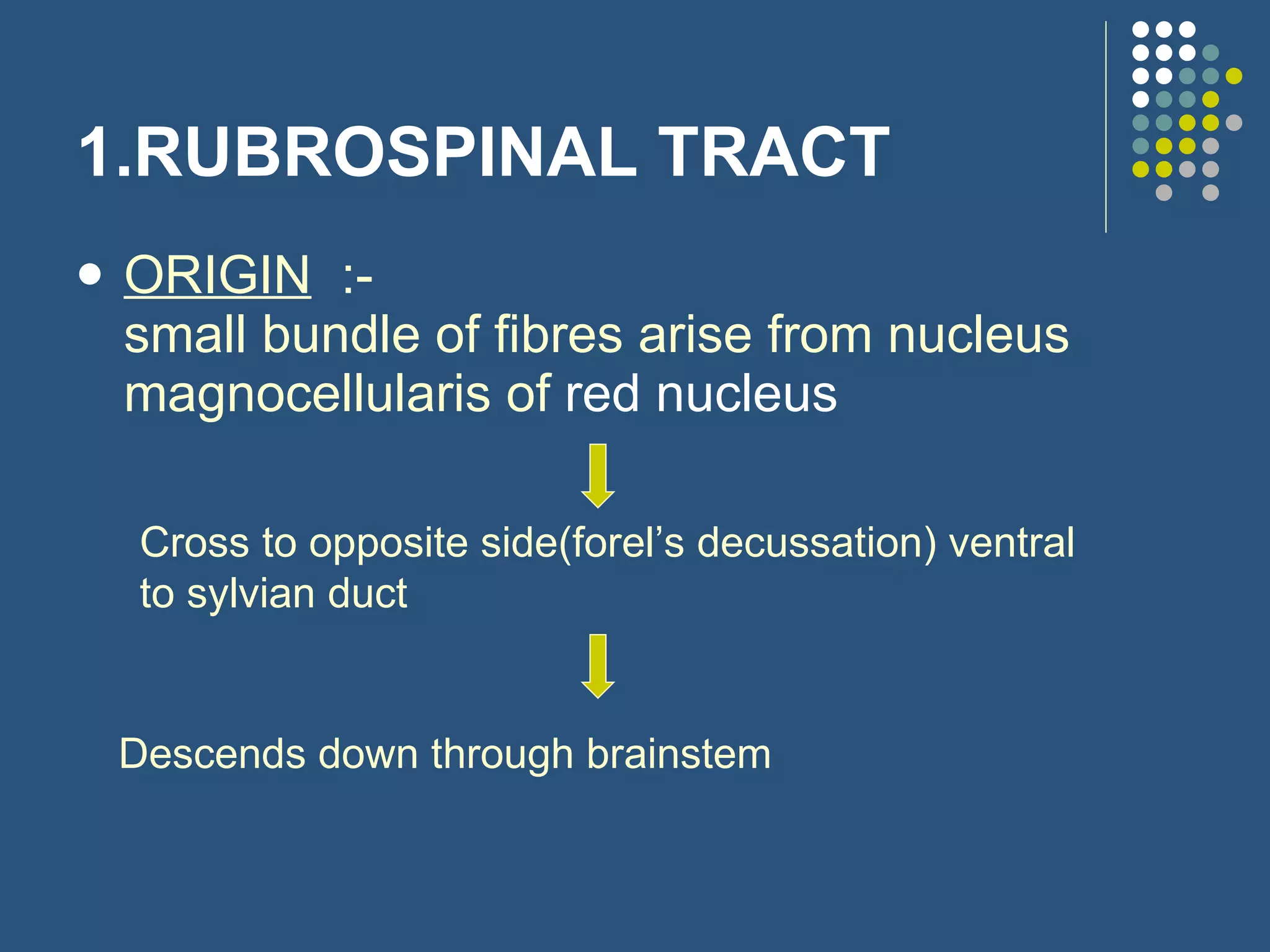 1.RUBROSPINAL TRACT ORIGIN   :-  small bundle of fibres arise from nucleus magnocellularis of  red nucleus   Cross to opposite side(forel’s decussation) ventral to sylvian duct Descends down through brainstem 