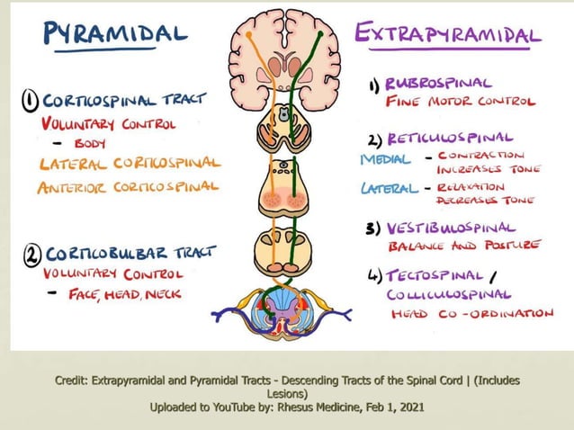 Extrapyramidal Symptoms extrapyramidal-symptoms