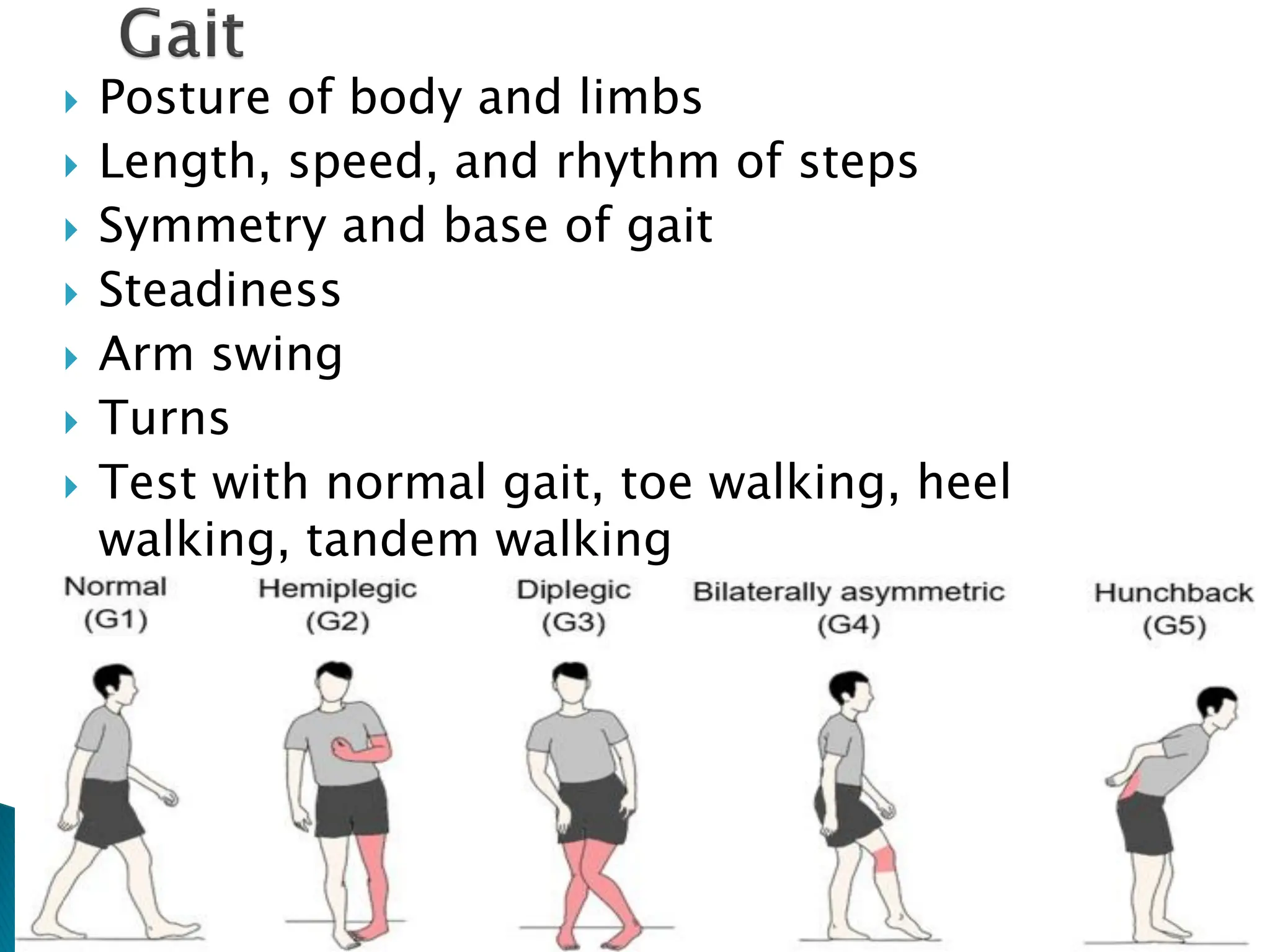 Posture of body and limbs
 Length, speed, and rhythm of steps
 Symmetry and base of gait
 Steadiness
 Arm swing
 Turns
 Test with normal gait, toe walking, heel
walking, tandem walking
 