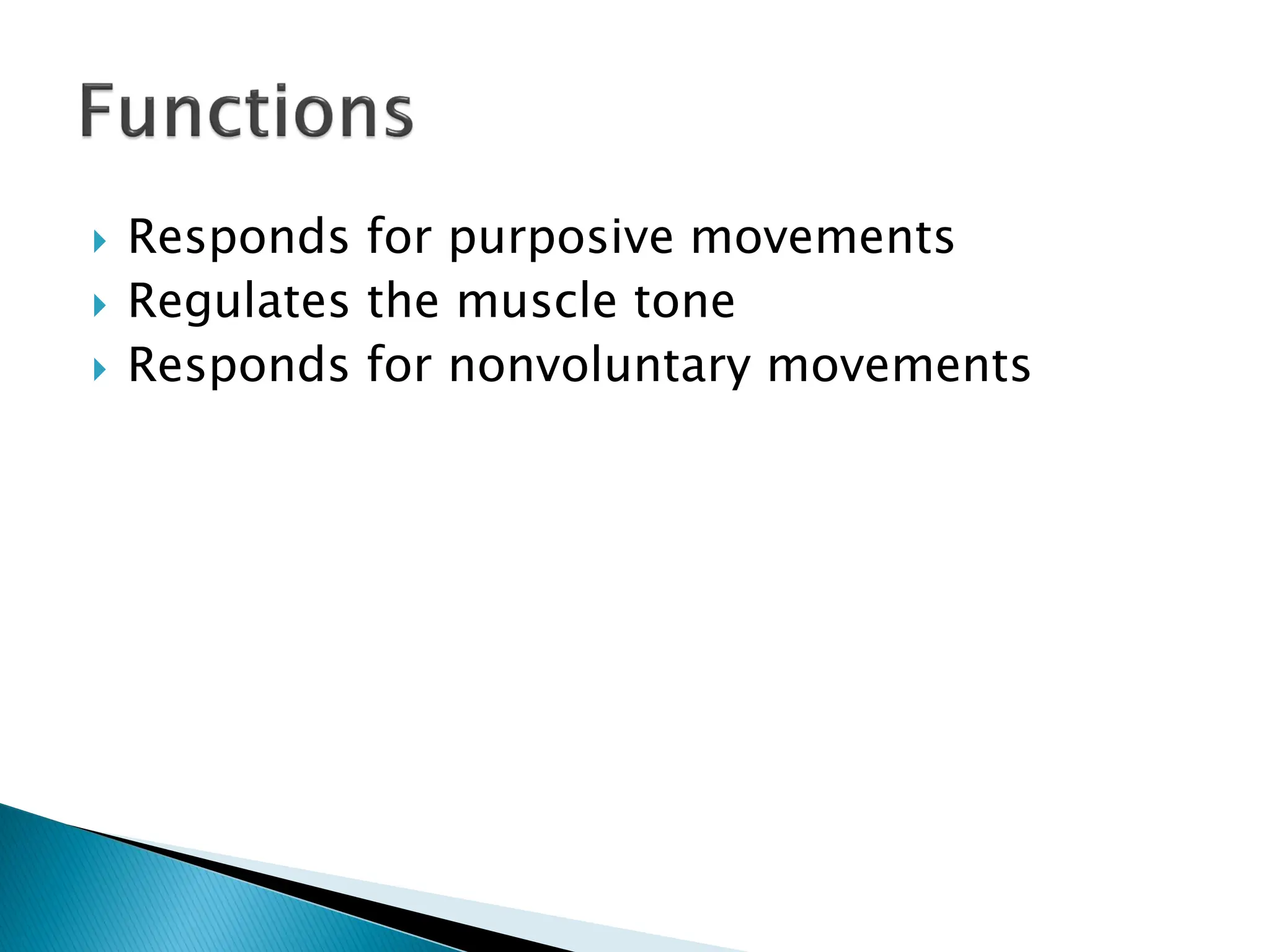  Responds for purposive movements
 Regulates the muscle tone
 Responds for nonvoluntary movements
 