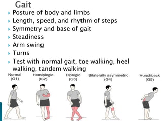  Posture of body and limbs
 Length, speed, and rhythm of steps
 Symmetry and base of gait
 Steadiness
 Arm swing
 Turns
 Test with normal gait, toe walking, heel
walking, tandem walking
 