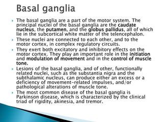  The basal ganglia are a part of the motor system. The
principal nuclei of the basal ganglia are the caudate
nucleus, the putamen, and the globus pallidus, all of which
lie in the subcortical white matter of the telencephalon.
 These nuclei are connected to each other, and to the
motor cortex, in complex regulatory circuits.
 They exert both excitatory and inhibitory effects on the
motor cortex. They play an important role in the initiation
and modulation of movement and in the control of muscle
tone.
 Lesions of the basal ganglia, and of other, functionally
related nuclei, such as the substantia nigra and the
subthalamic nucleus, can produce either an excess or a
deficiency of movement-related impulses, and/or
pathological alterations of muscle tone.
 The most common disease of the basal ganglia is
Parkinson disease, which is characterized by the clinical
triad of rigidity, akinesia, and tremor.
 